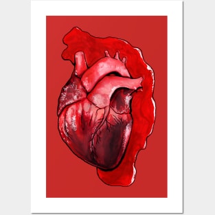 Human Heart Posters and Art